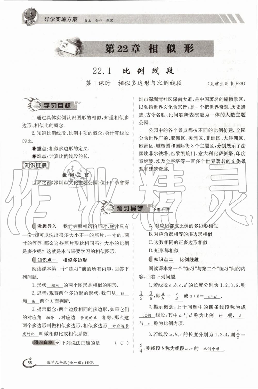 2019年金太陽導(dǎo)學(xué)案九年級數(shù)學(xué)全一冊滬科版 第56頁