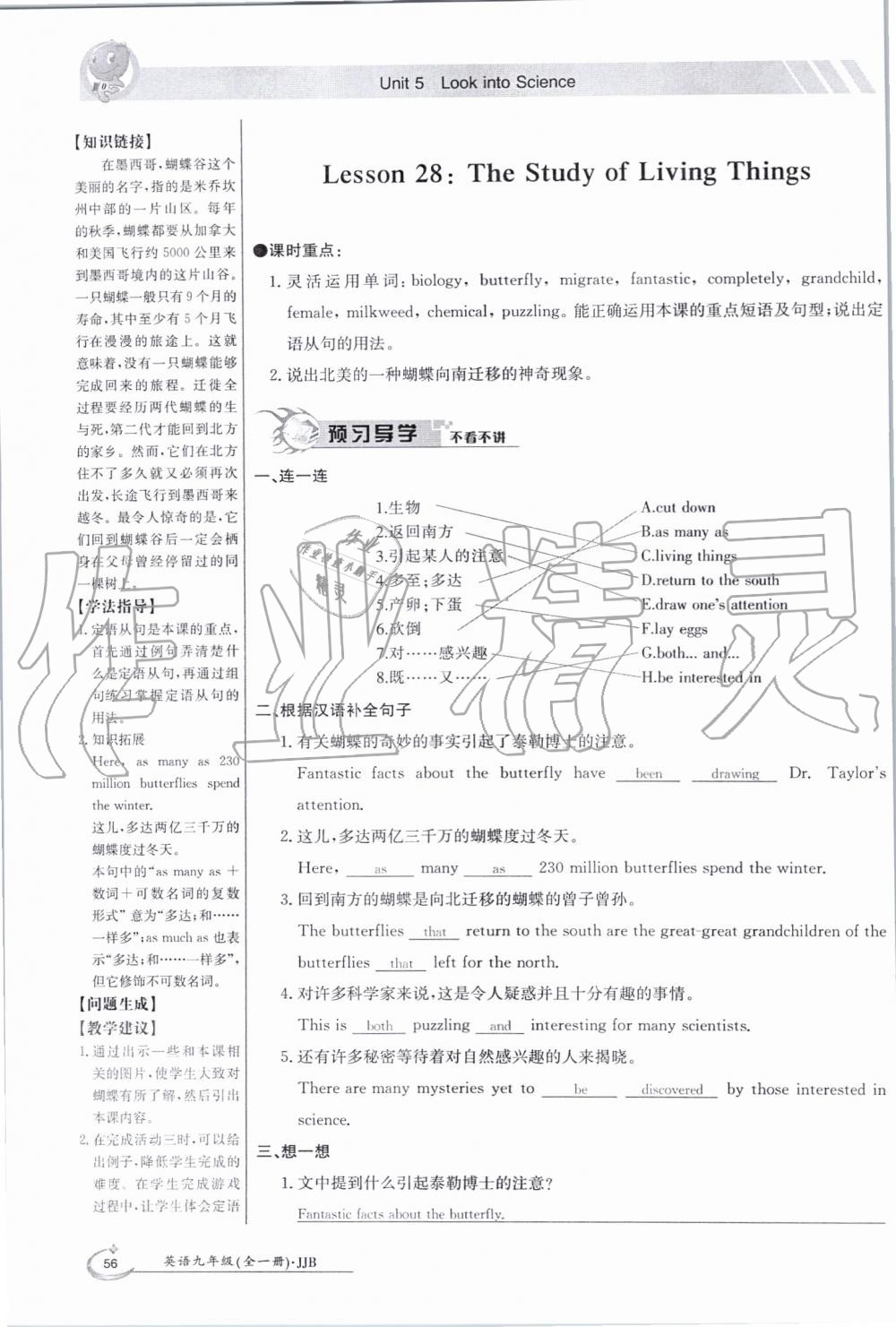 2019年金太陽導(dǎo)學(xué)案九年級英語全一冊冀教版 第56頁