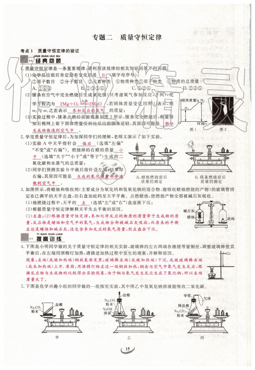 2019年新觀察中考化學(xué)元調(diào)復(fù)習(xí)專(zhuān)題 第15頁(yè)