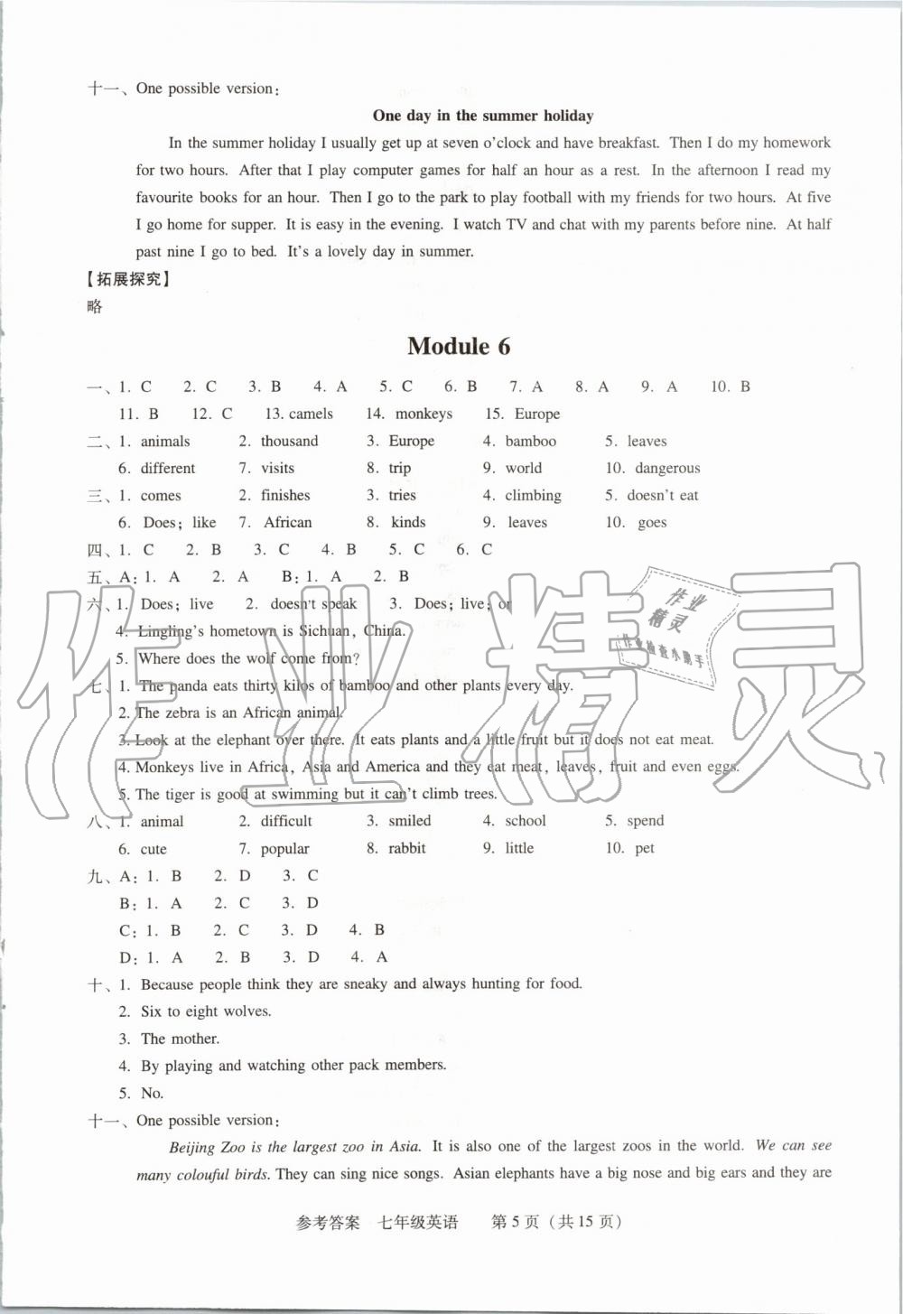 2019年學(xué)習(xí)探究診斷七年級(jí)英語上冊(cè)外研版 第5頁