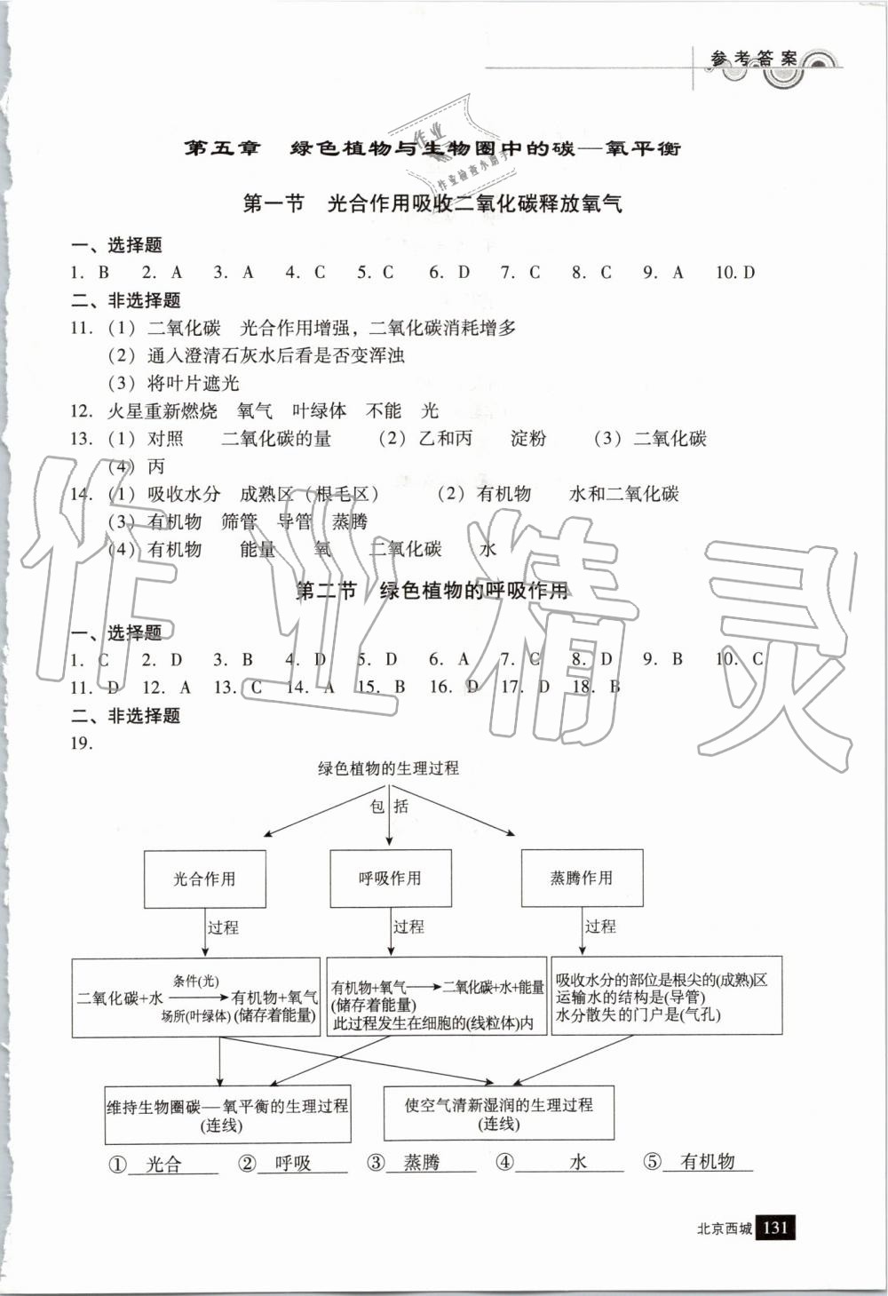 2019年學(xué)習(xí)探究診斷七年級(jí)生物上冊(cè)人教版 第10頁(yè)