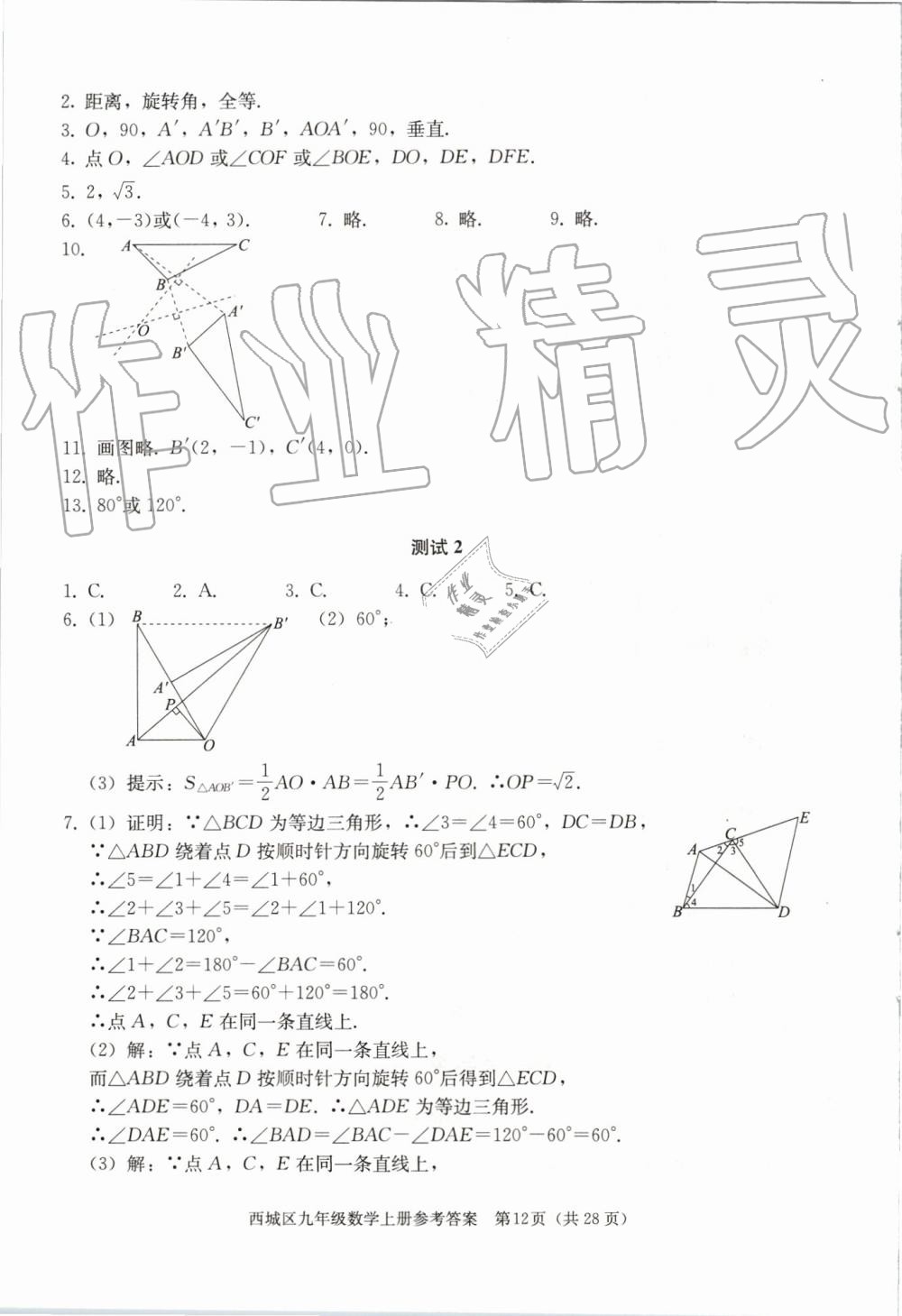 2019年学习探究诊断九年级数学上册人教版 第12页