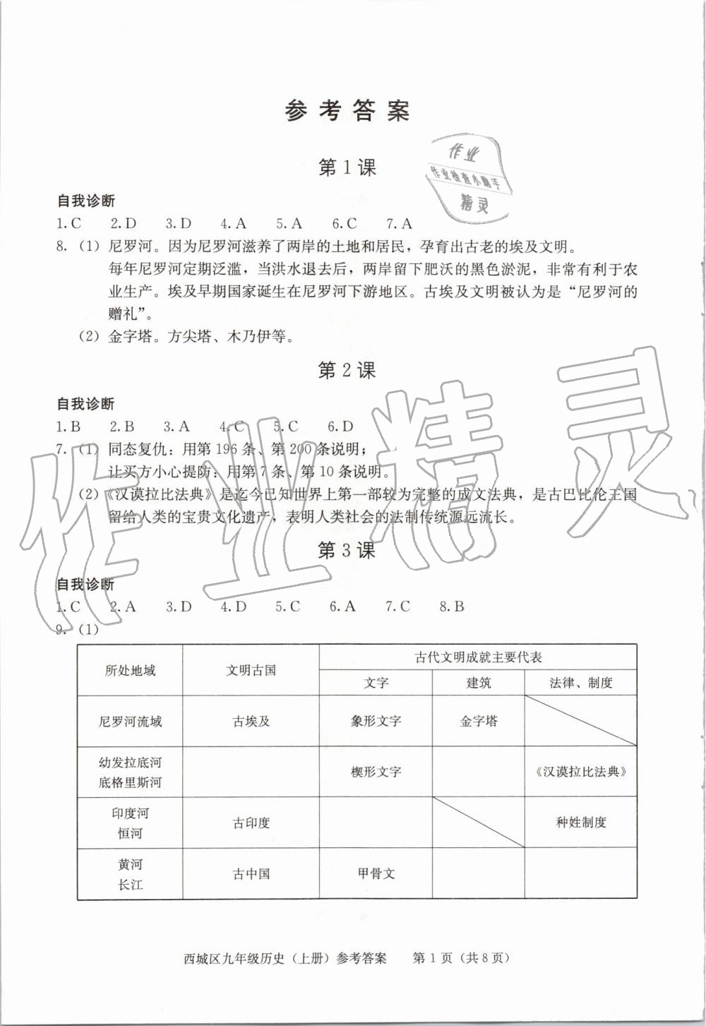 2019年學(xué)習(xí)探究診斷九年級歷史上冊人教版 第1頁