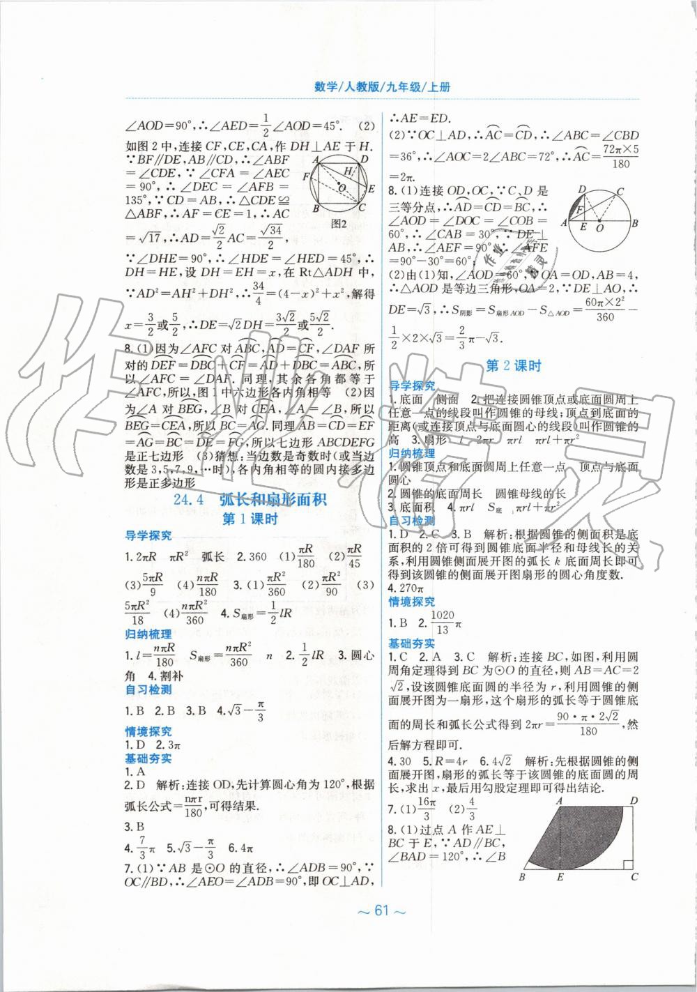 2019年新编基础训练九年级数学上册人教版 第25页