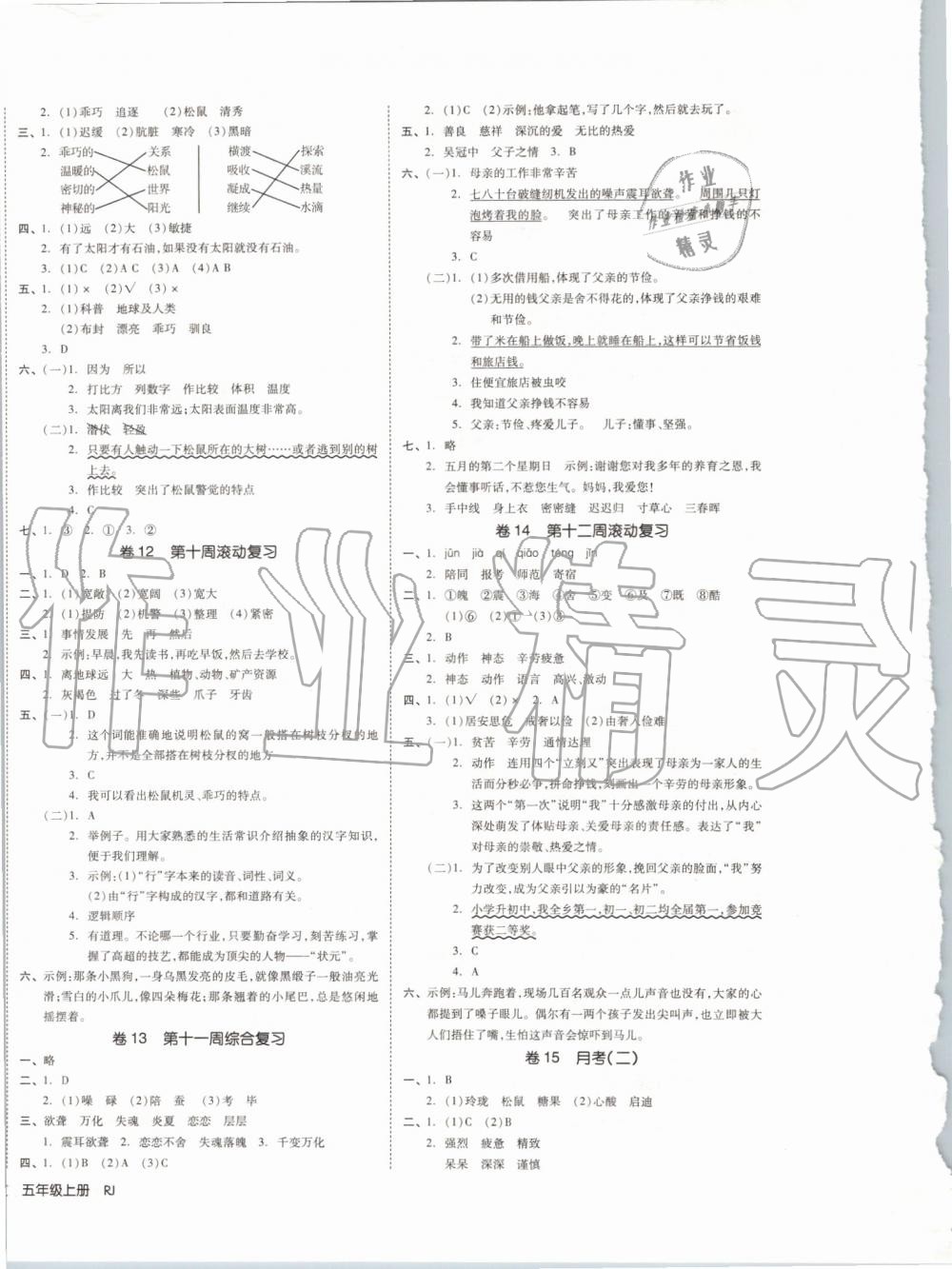 2019年全品小復(fù)習(xí)五年級(jí)語文上冊(cè)人教版 第4頁