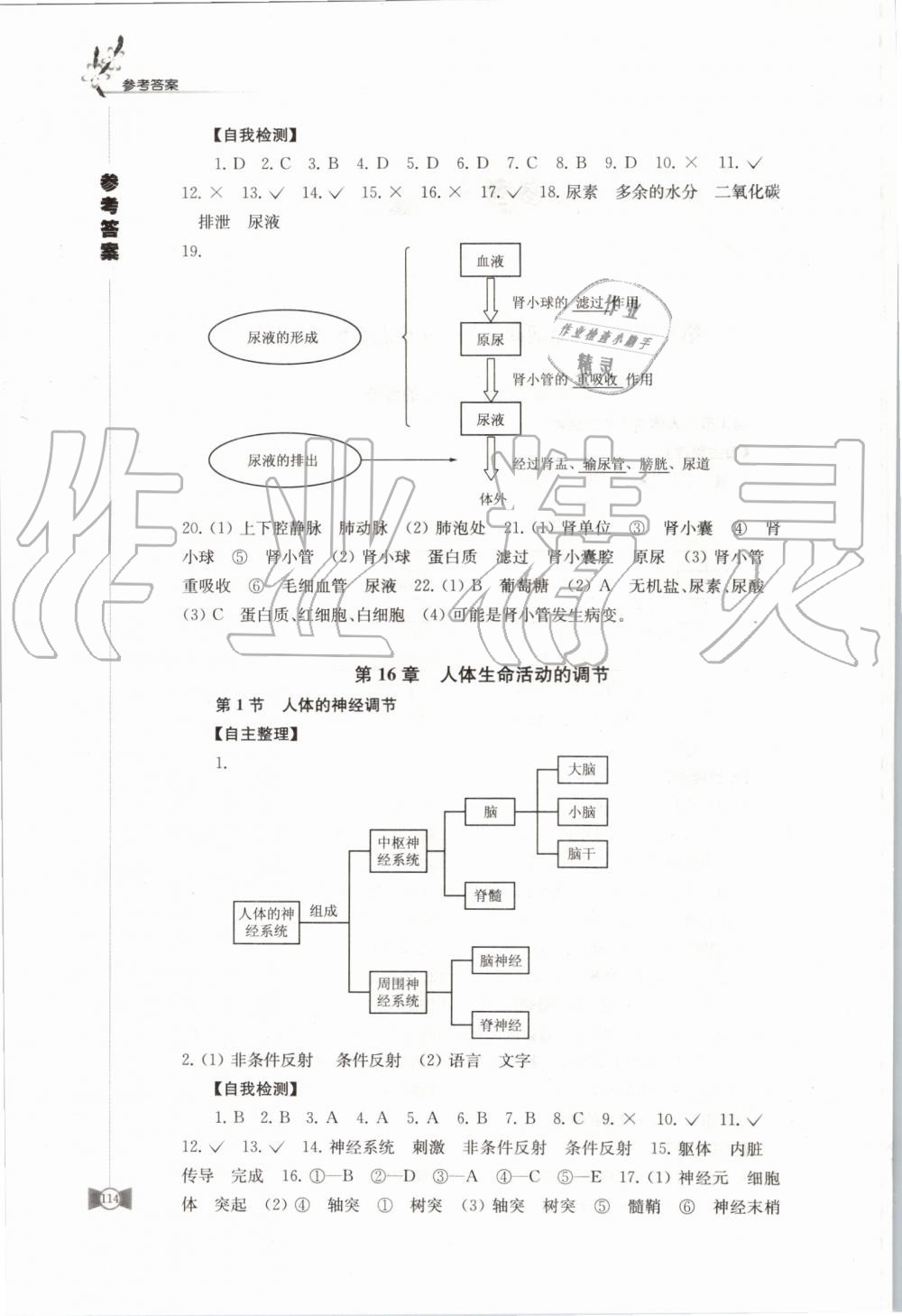 2019年學(xué)習(xí)與評價八年級生物學(xué)上冊蘇科版江蘇教育出版社 第2頁