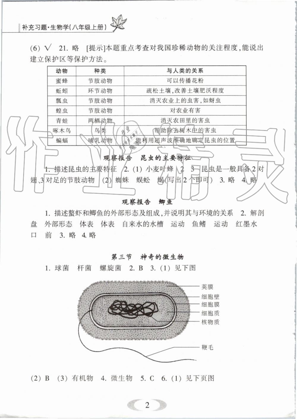 2019年補(bǔ)充習(xí)題八年級(jí)生物學(xué)上冊(cè)蘇教版江蘇鳳凰教育出版社 第2頁(yè)