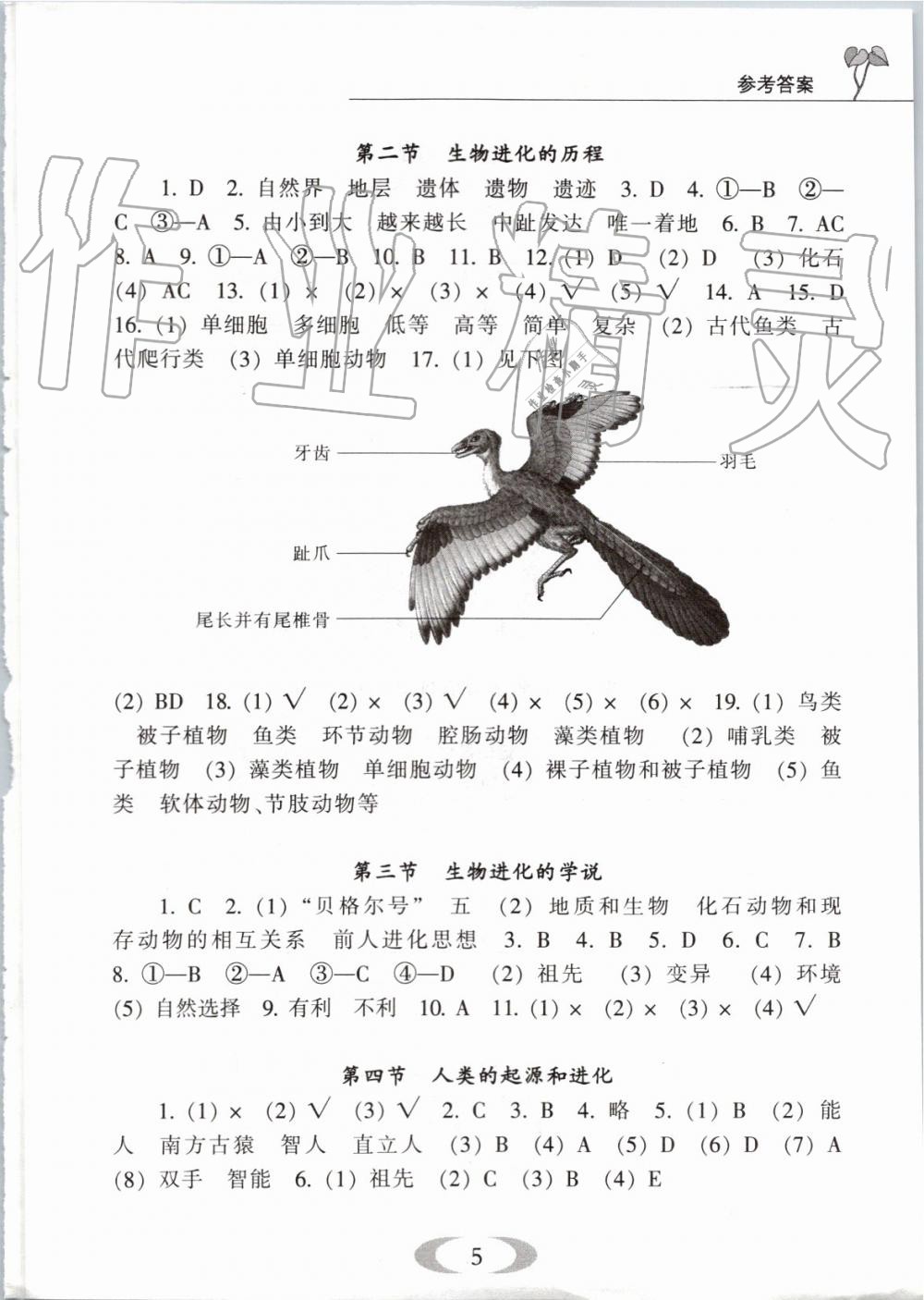 2019年補(bǔ)充習(xí)題八年級生物學(xué)上冊蘇教版江蘇鳳凰教育出版社 第5頁