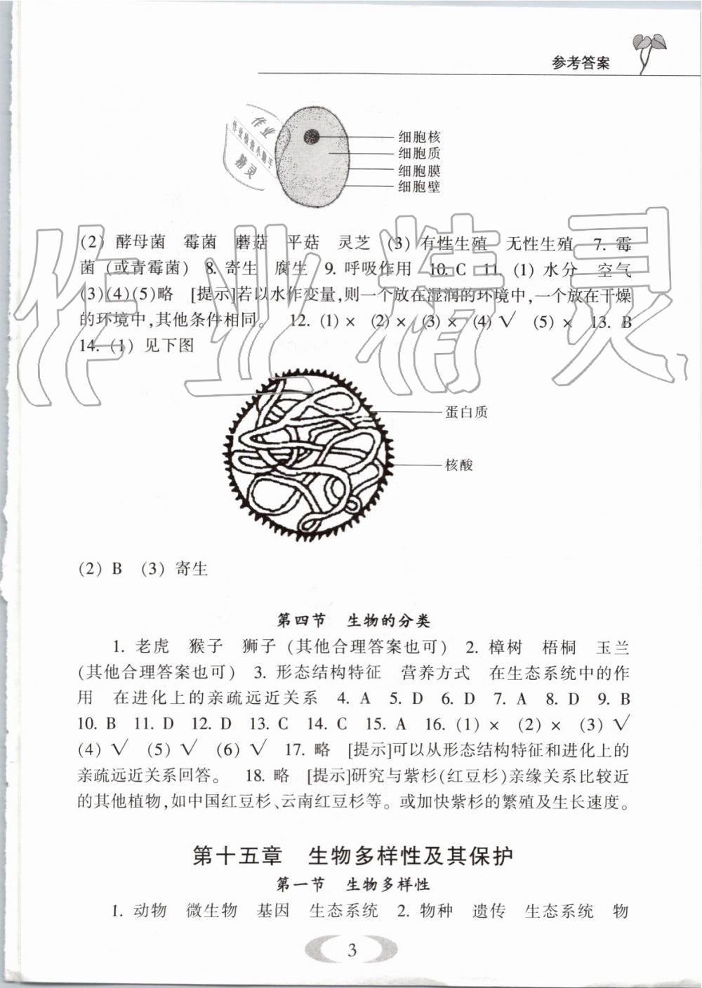 2019年補(bǔ)充習(xí)題八年級生物學(xué)上冊蘇教版江蘇鳳凰教育出版社 第3頁