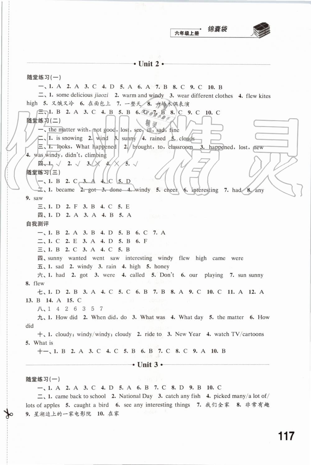 2019年同步练习六年级英语上册译林版江苏凤凰科学技术出版社 第2页