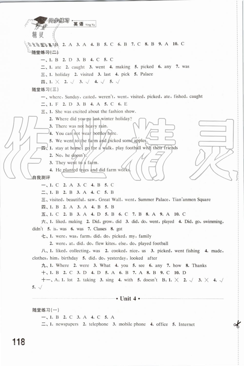 2019年同步練習六年級英語上冊譯林版江蘇鳳凰科學技術(shù)出版社 第3頁