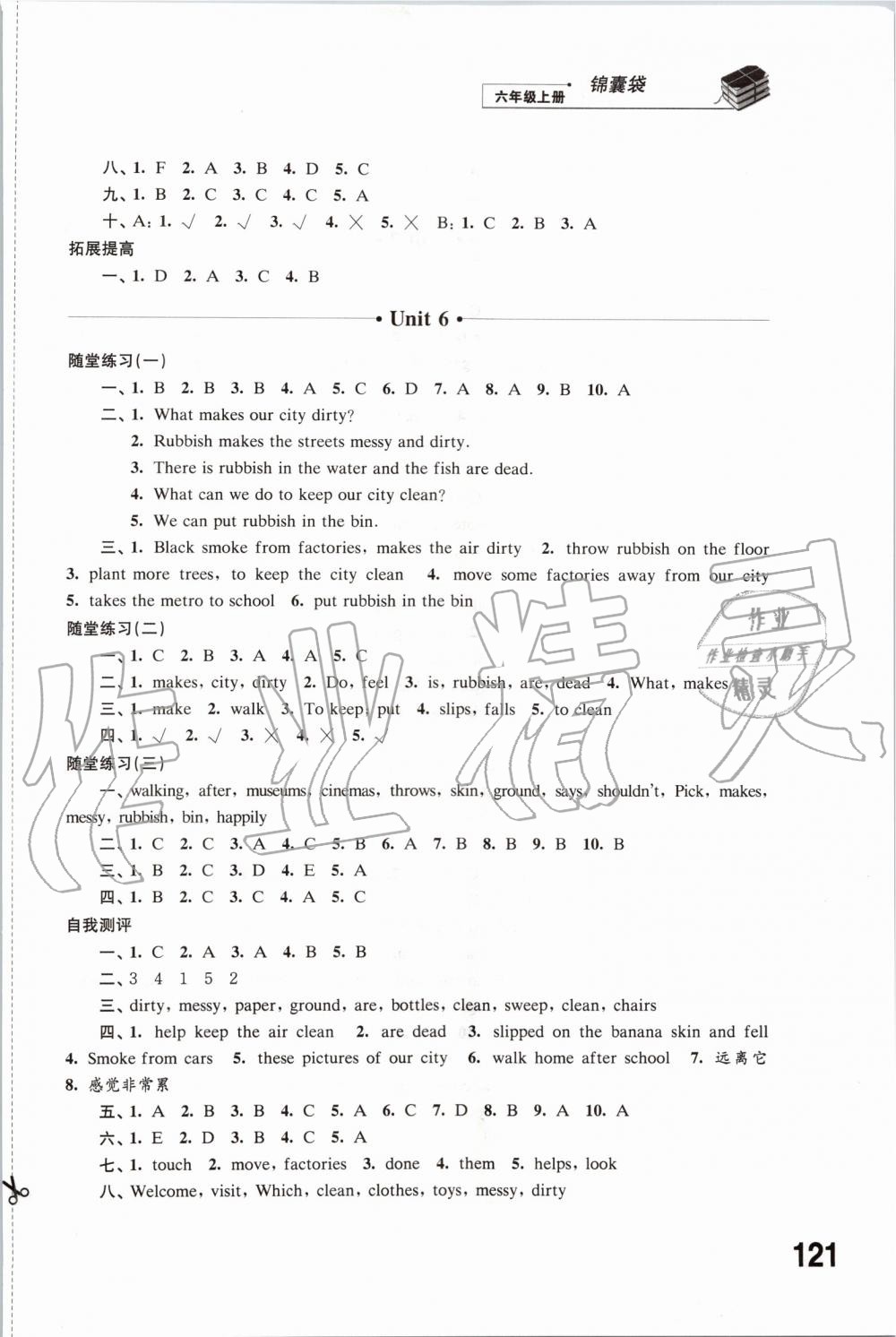 2019年同步练习六年级英语上册译林版江苏凤凰科学技术出版社 第6页