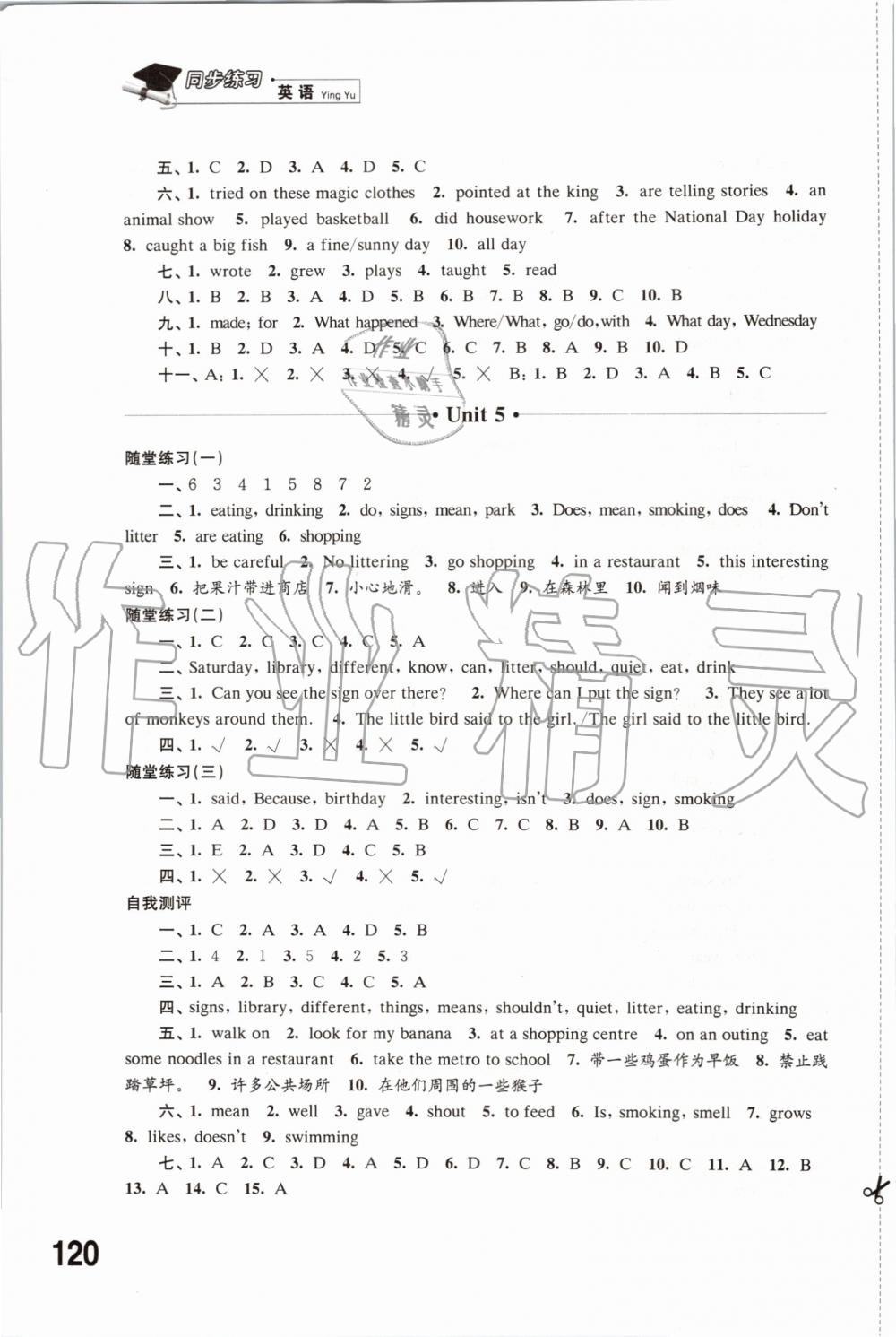 2019年同步练习六年级英语上册译林版江苏凤凰科学技术出版社 第5页