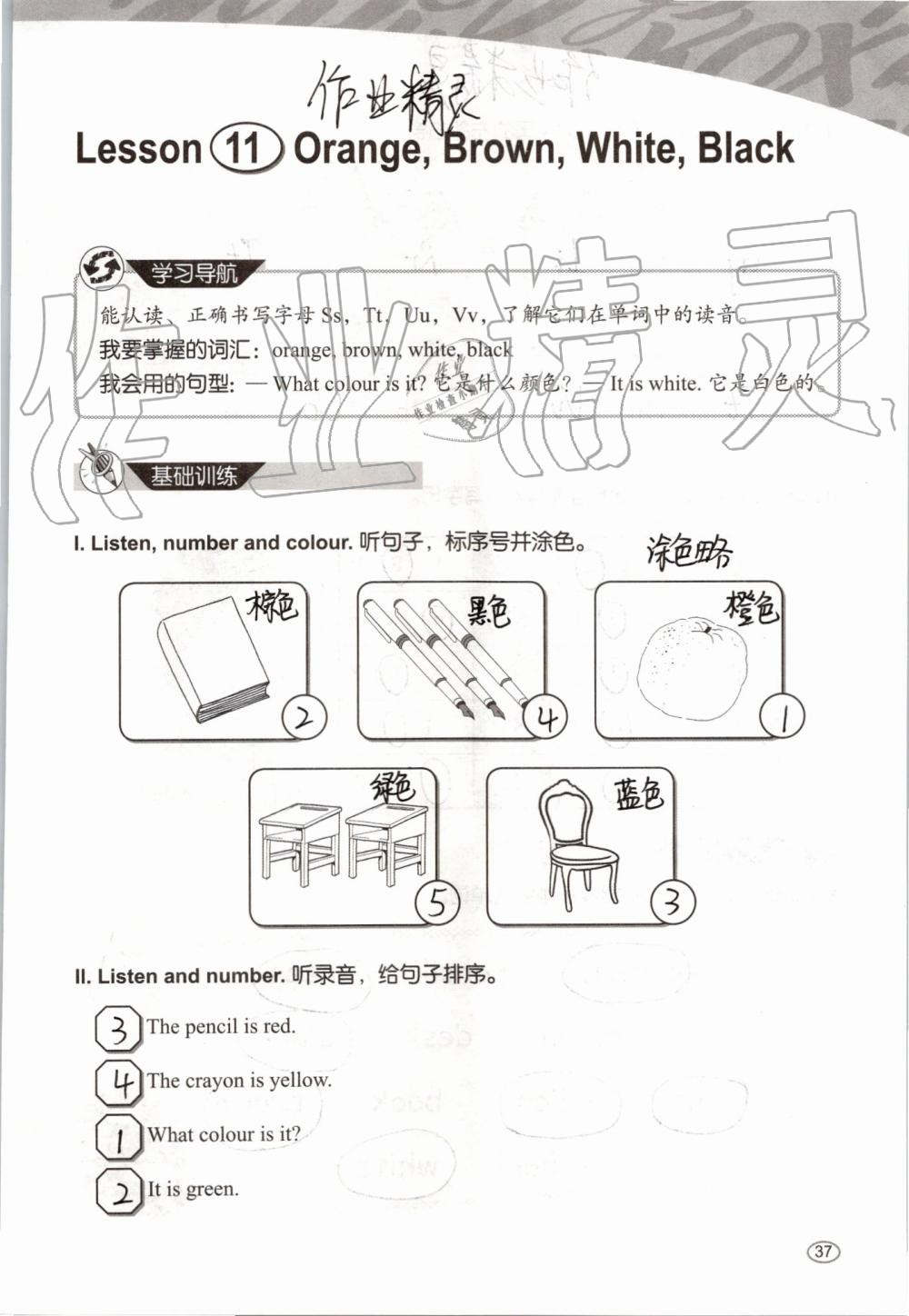 2019年基本功訓(xùn)練三年級英語上冊冀教版三起 第37頁