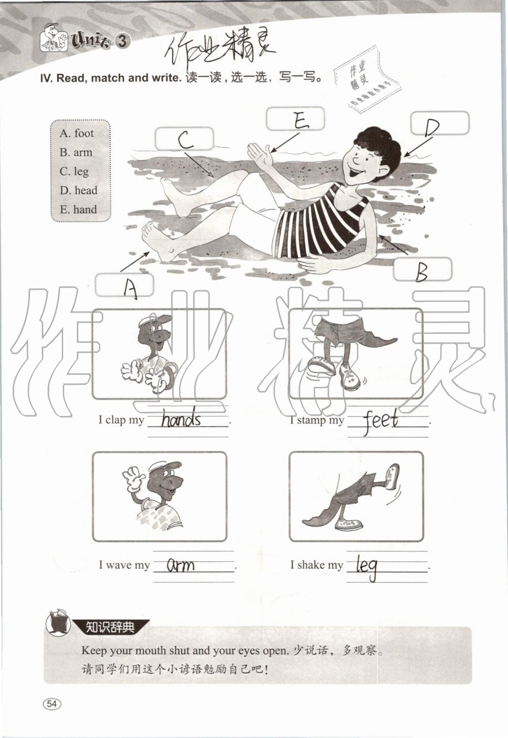 2019年基本功訓(xùn)練三年級(jí)英語(yǔ)上冊(cè)冀教版三起 第54頁(yè)