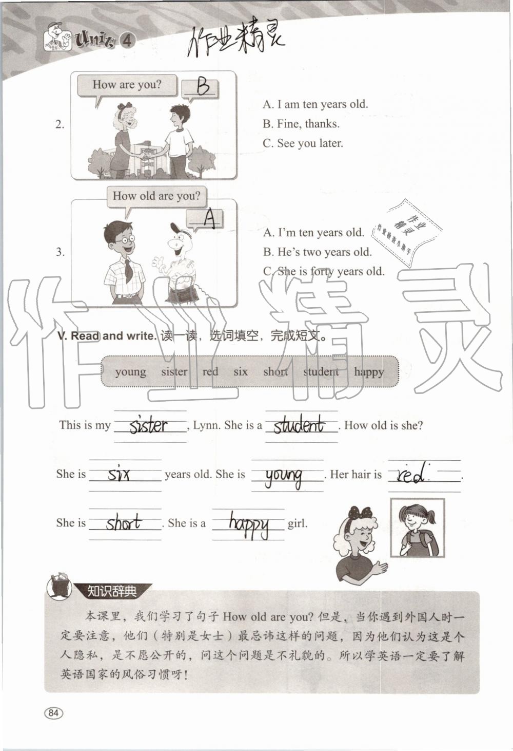 2019年基本功訓(xùn)練三年級英語上冊冀教版三起 第84頁