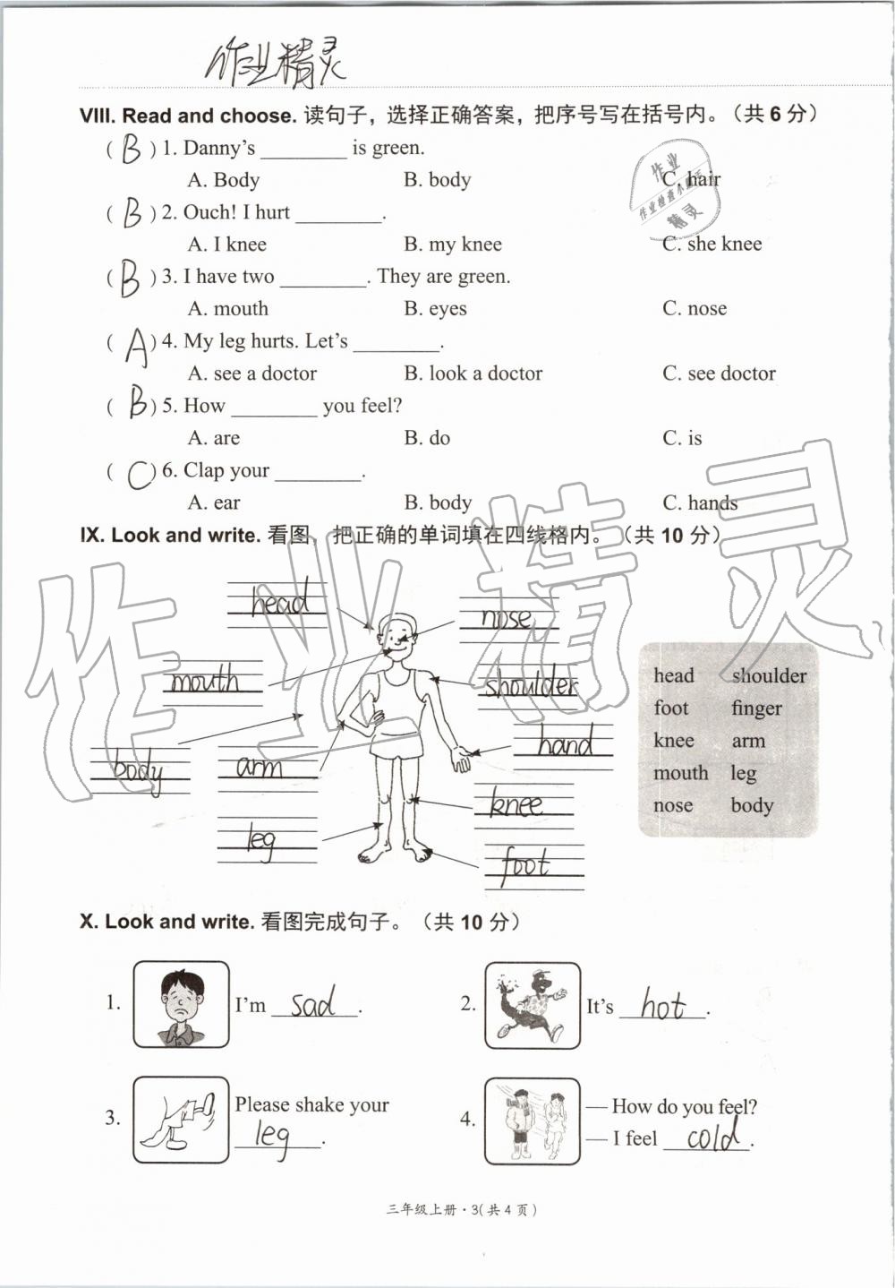 2019年基本功訓(xùn)練三年級英語上冊冀教版三起 第127頁