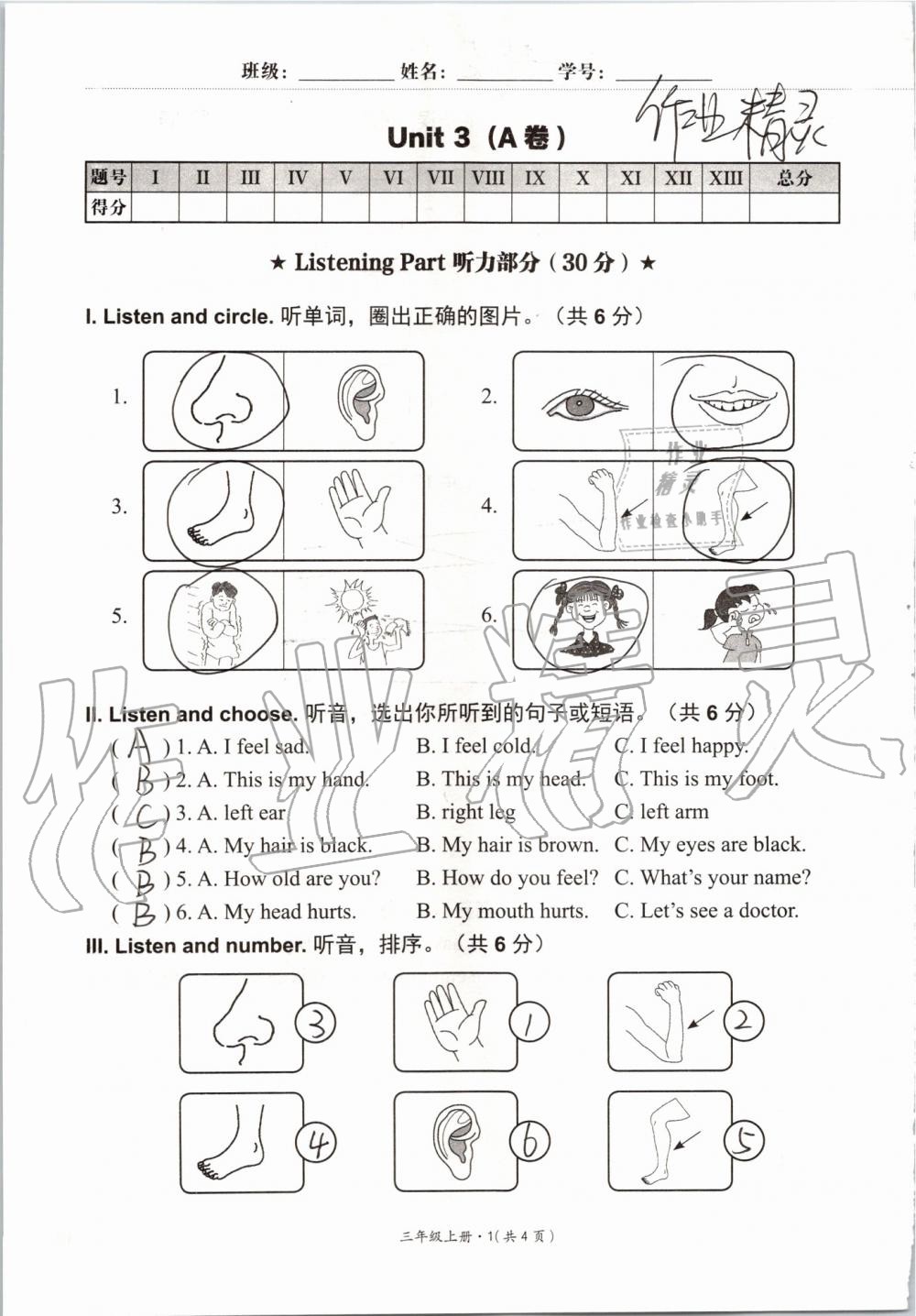 2019年基本功訓(xùn)練三年級英語上冊冀教版三起 第121頁