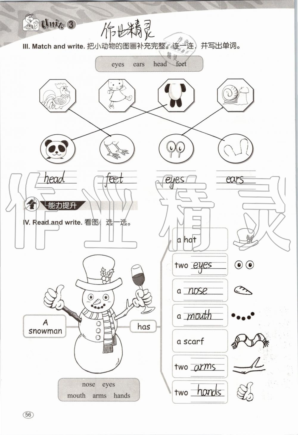 2019年基本功訓(xùn)練三年級(jí)英語(yǔ)上冊(cè)冀教版三起 第56頁(yè)