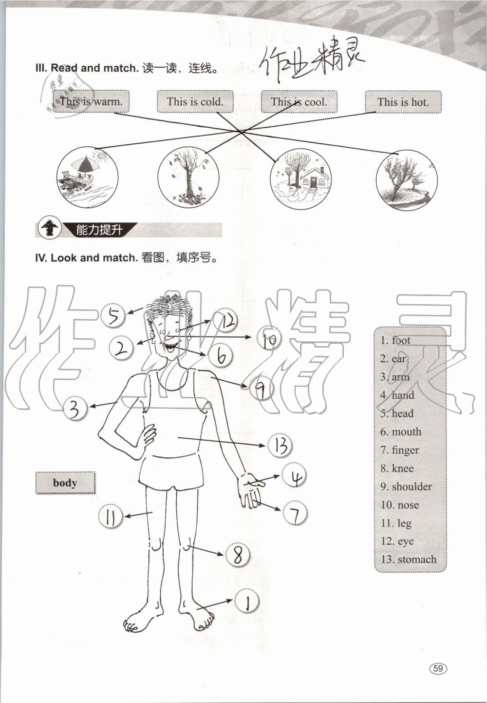 2019年基本功訓(xùn)練三年級(jí)英語(yǔ)上冊(cè)冀教版三起 第59頁(yè)