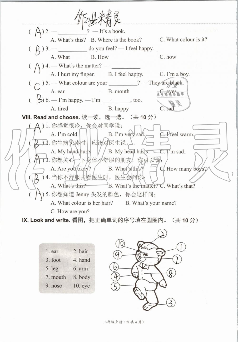 2019年基本功訓練三年級英語上冊冀教版三起 第123頁