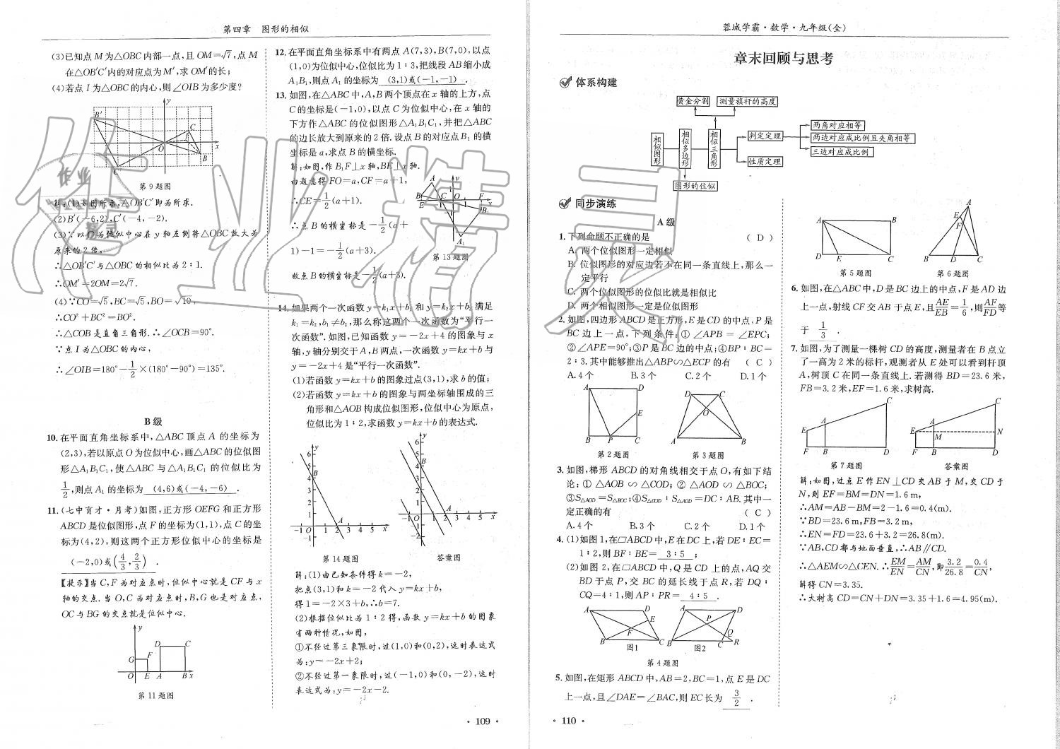 2019年蓉城學(xué)霸九年級數(shù)學(xué)全一冊北師大版 第55頁