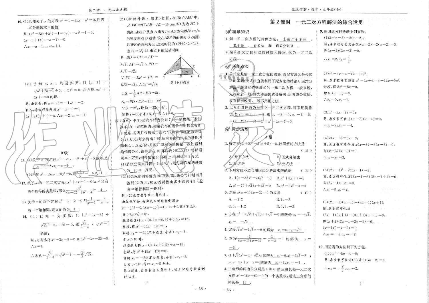 2019年蓉城學霸九年級數(shù)學全一冊北師大版 第23頁