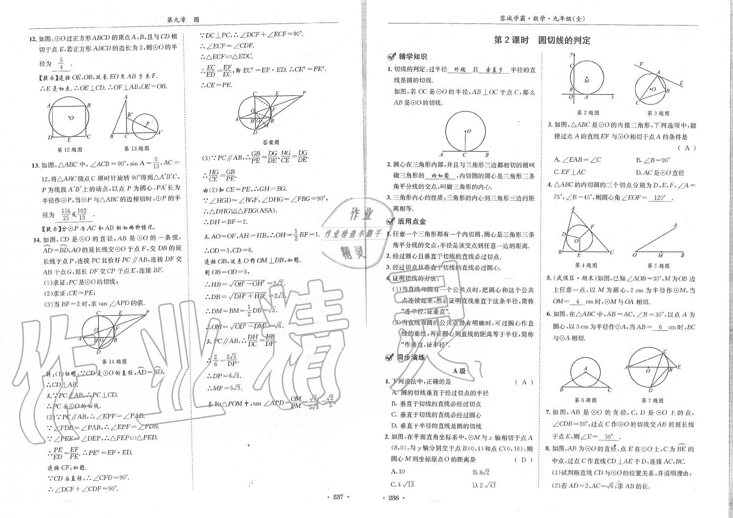 2019年蓉城学霸九年级数学全一册北师大版 第119页