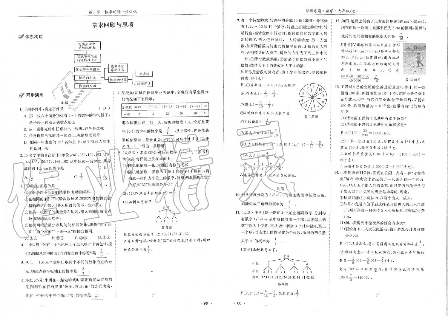 2019年蓉城學(xué)霸九年級數(shù)學(xué)全一冊北師大版 第33頁