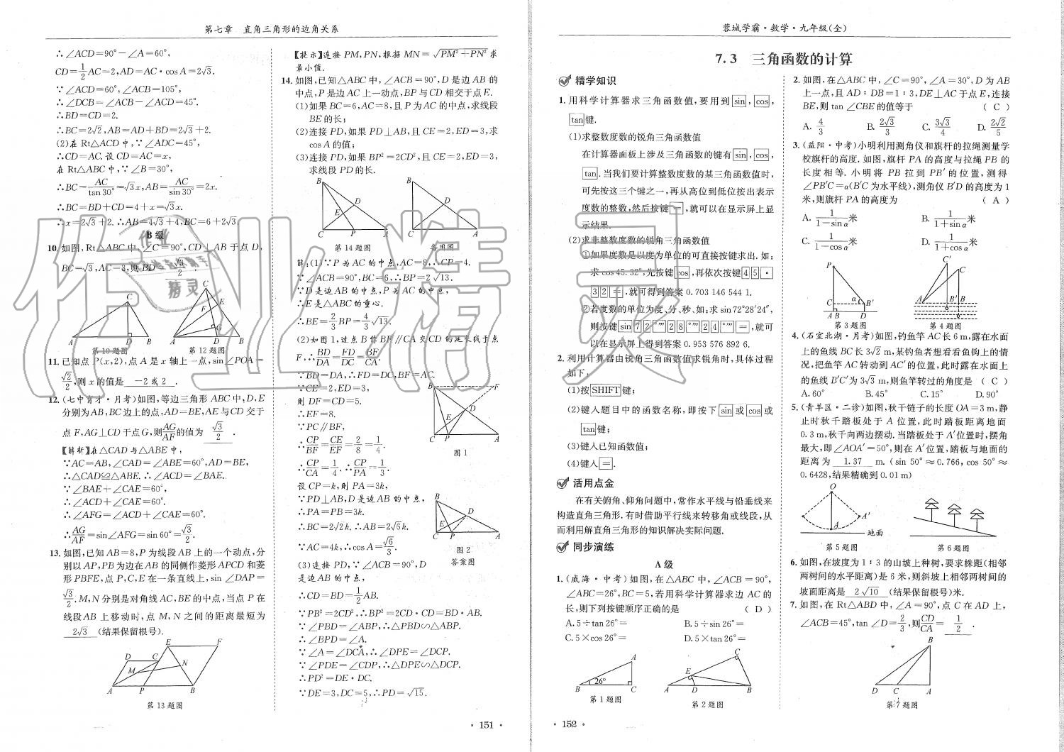 2019年蓉城学霸九年级数学全一册北师大版 第76页