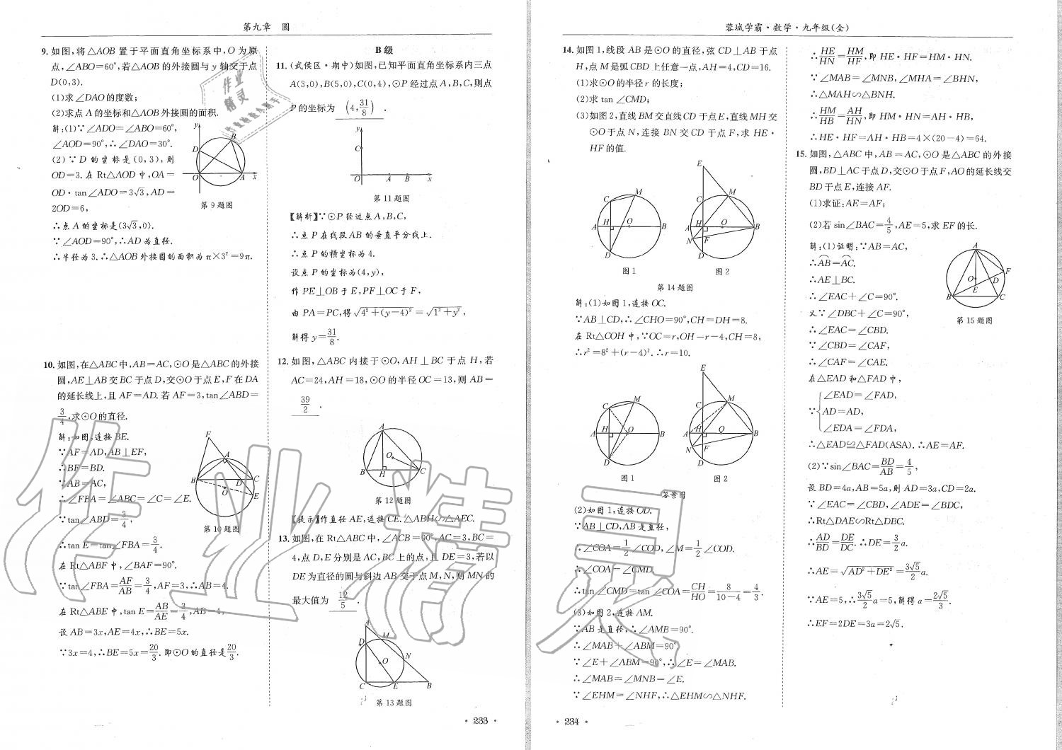 2019年蓉城學(xué)霸九年級(jí)數(shù)學(xué)全一冊(cè)北師大版 第117頁(yè)