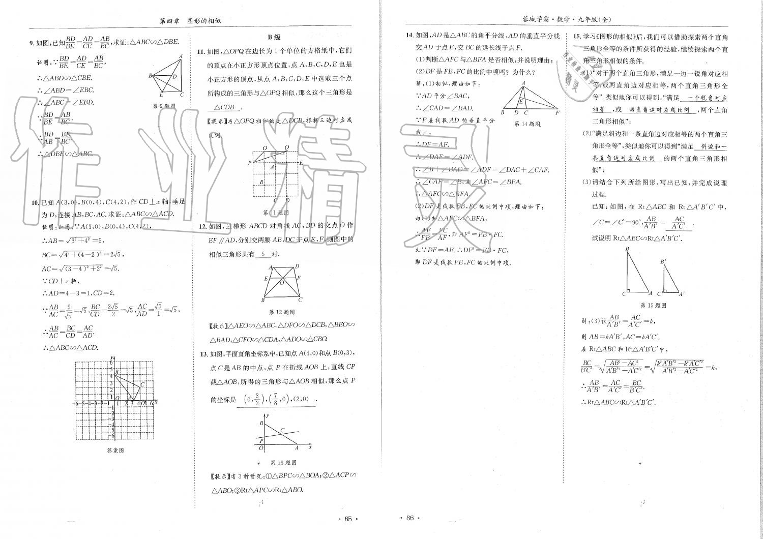 2019年蓉城学霸九年级数学全一册北师大版 第43页