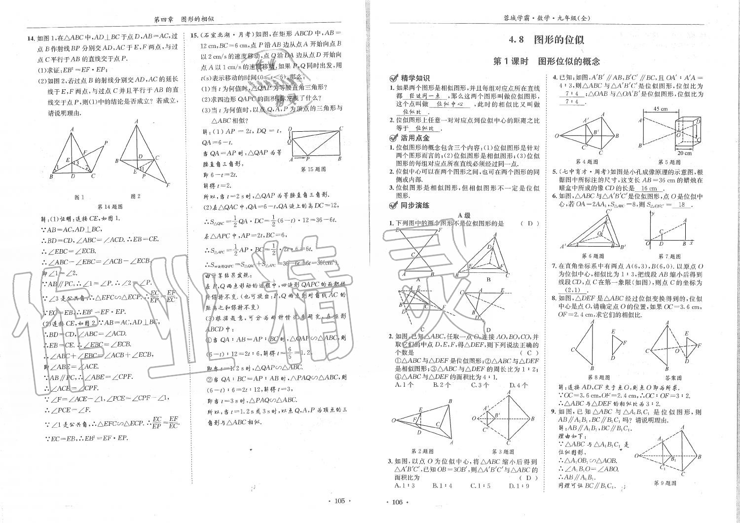 2019年蓉城學(xué)霸九年級(jí)數(shù)學(xué)全一冊(cè)北師大版 第53頁(yè)