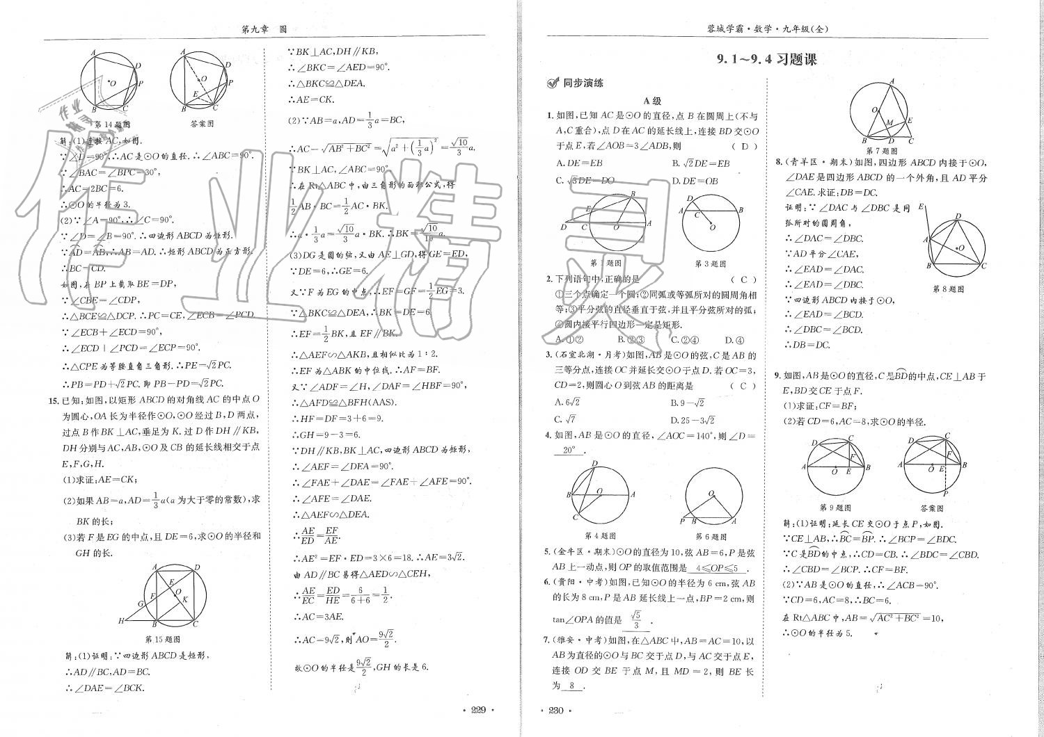 2019年蓉城学霸九年级数学全一册北师大版 第115页