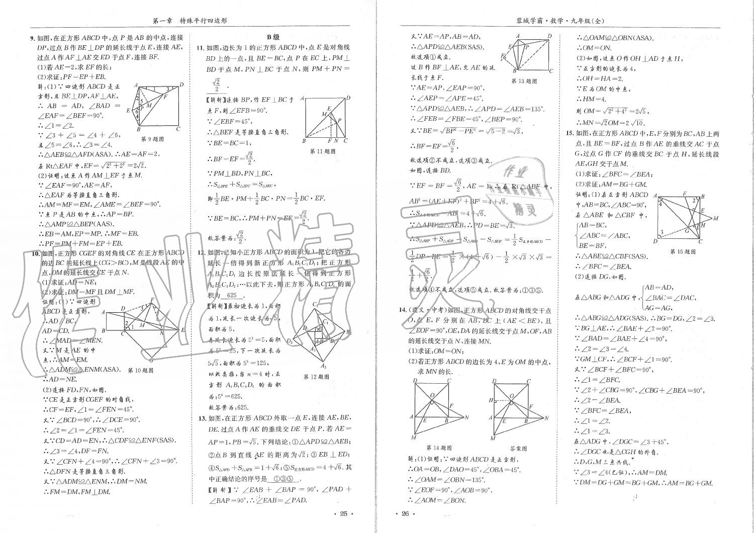 2019年蓉城學霸九年級數(shù)學全一冊北師大版 第13頁