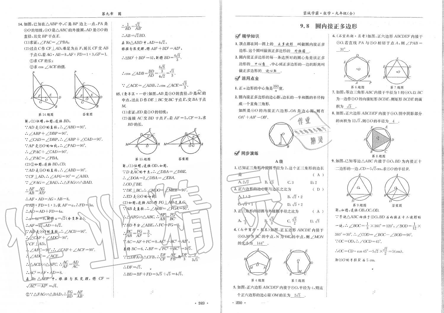 2019年蓉城學(xué)霸九年級(jí)數(shù)學(xué)全一冊(cè)北師大版 第125頁(yè)