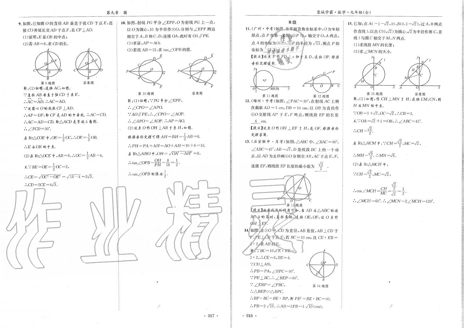 2019年蓉城學(xué)霸九年級(jí)數(shù)學(xué)全一冊(cè)北師大版 第109頁(yè)