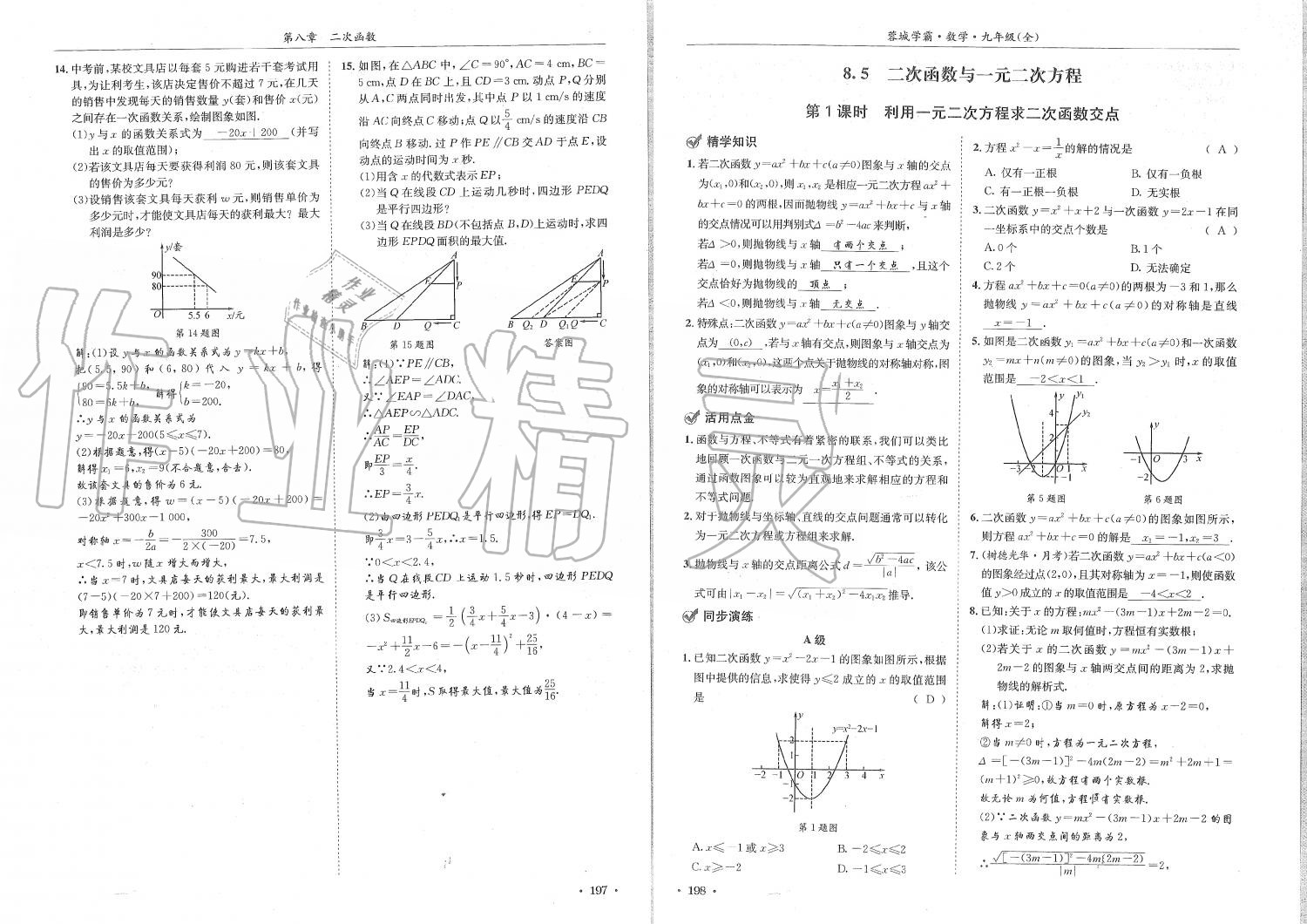 2019年蓉城學霸九年級數(shù)學全一冊北師大版 第99頁