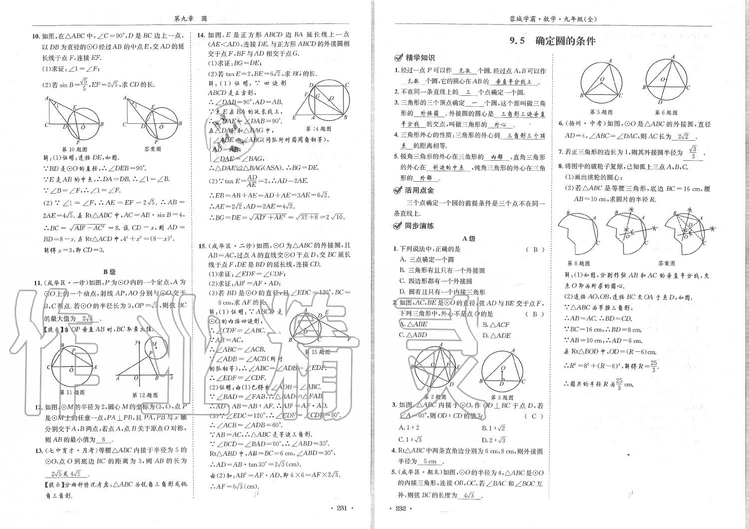 2019年蓉城學(xué)霸九年級數(shù)學(xué)全一冊北師大版 第116頁