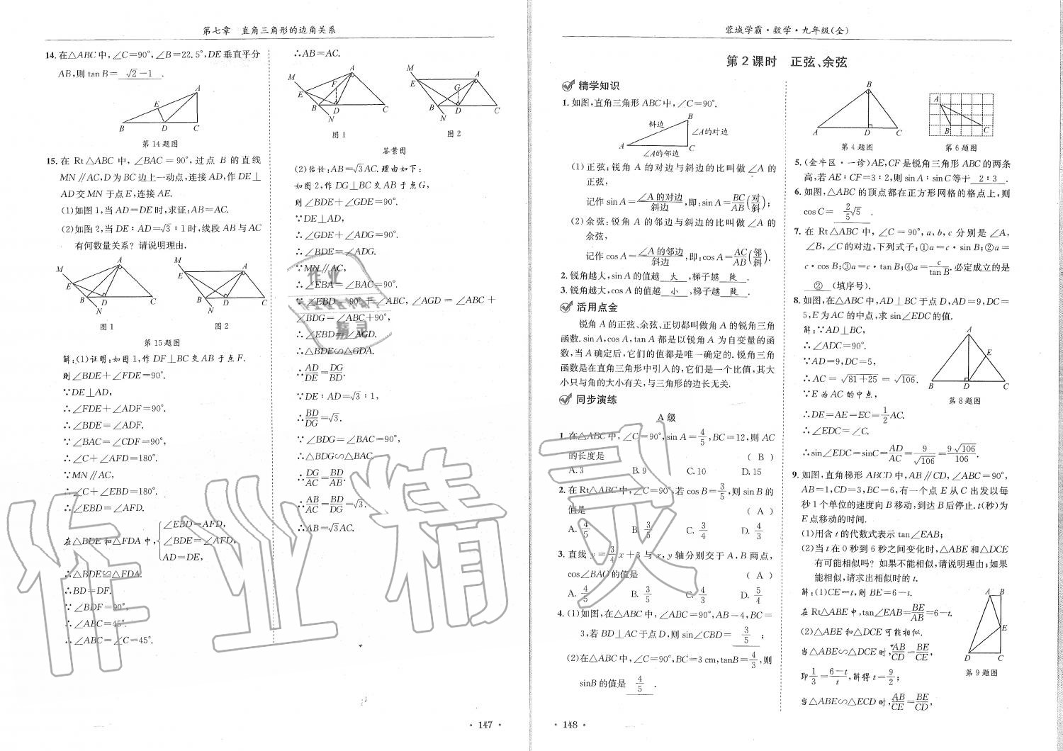 2019年蓉城學霸九年級數(shù)學全一冊北師大版 第74頁