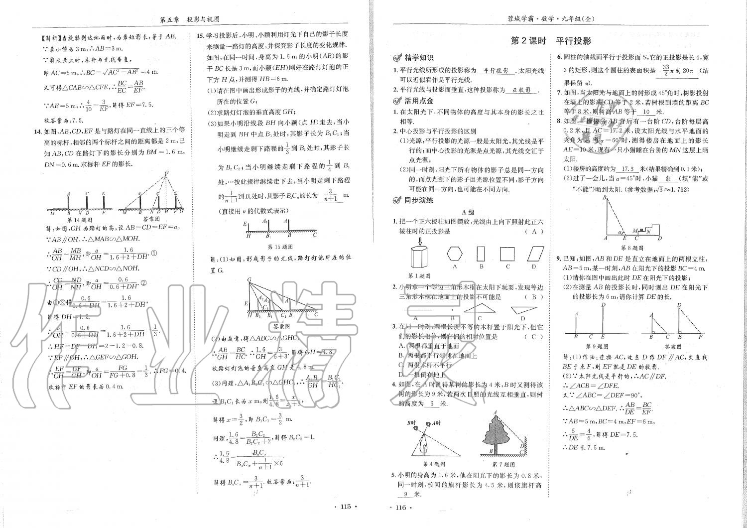 2019年蓉城学霸九年级数学全一册北师大版 第58页