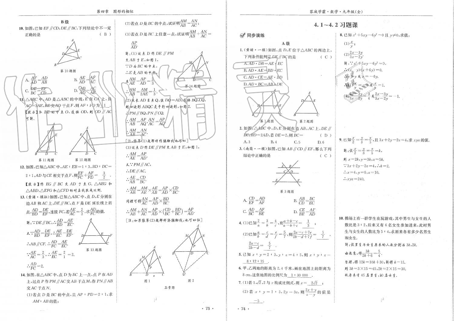 2019年蓉城學(xué)霸九年級數(shù)學(xué)全一冊北師大版 第37頁