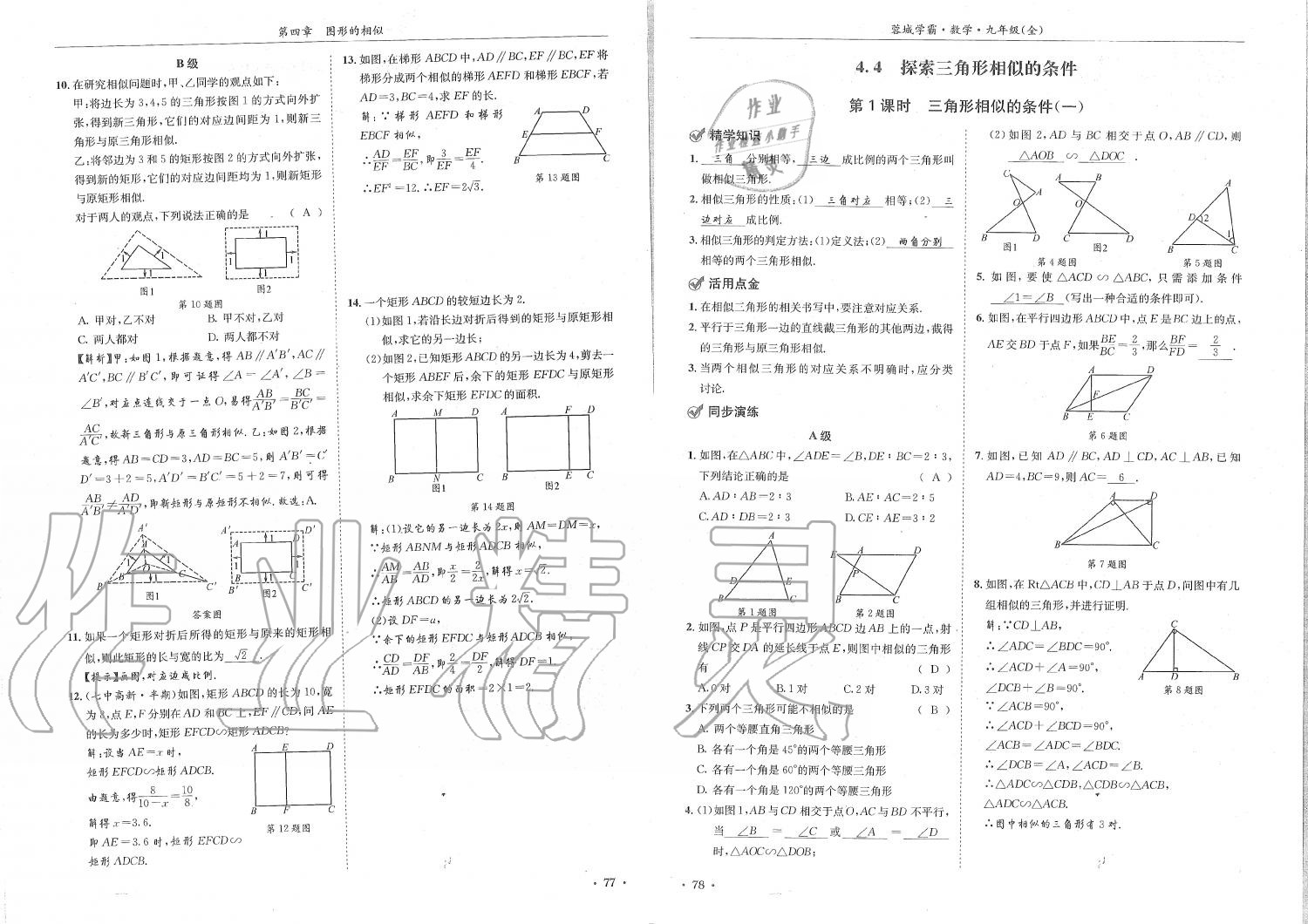 2019年蓉城学霸九年级数学全一册北师大版 第39页