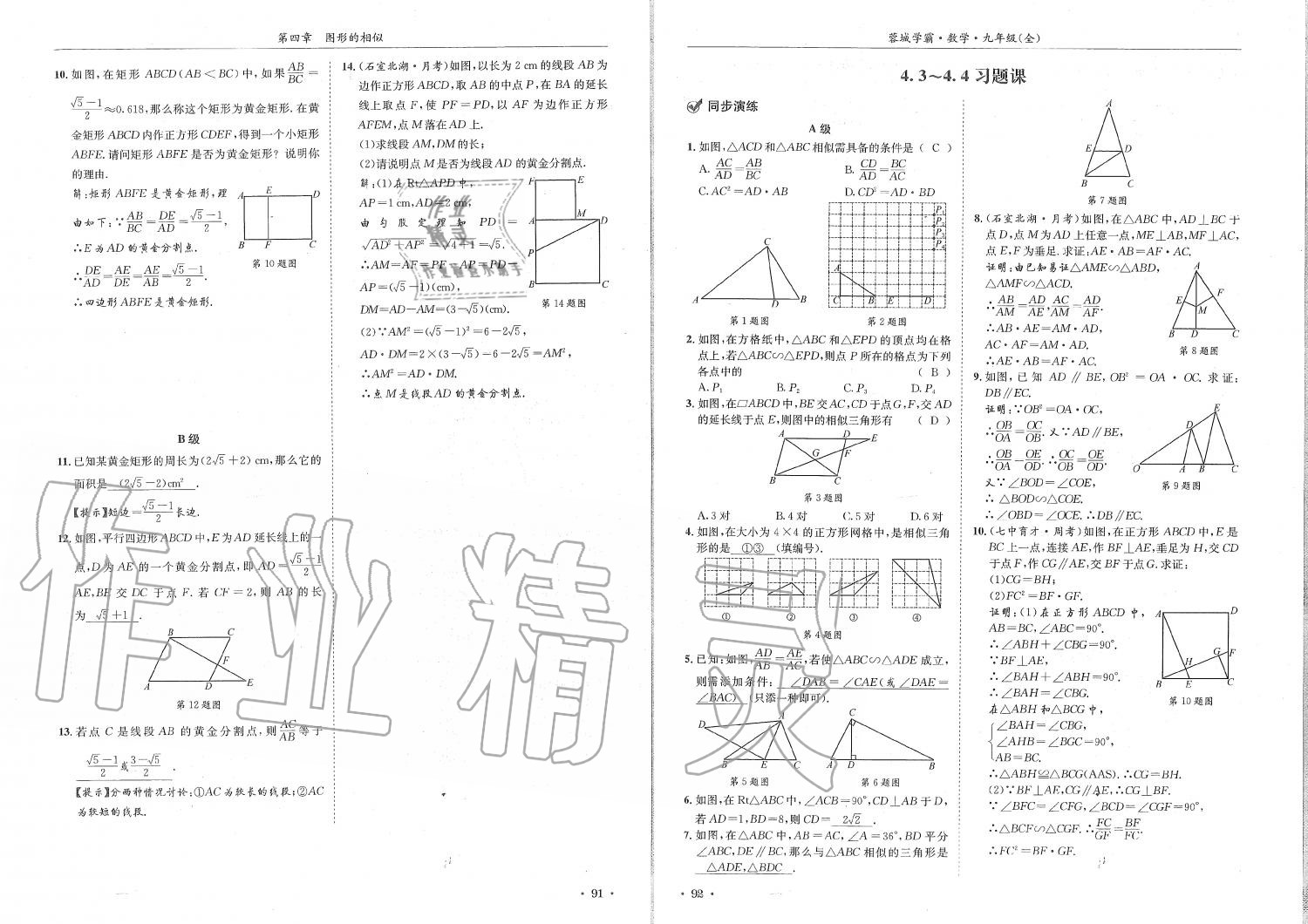 2019年蓉城學霸九年級數學全一冊北師大版 第46頁