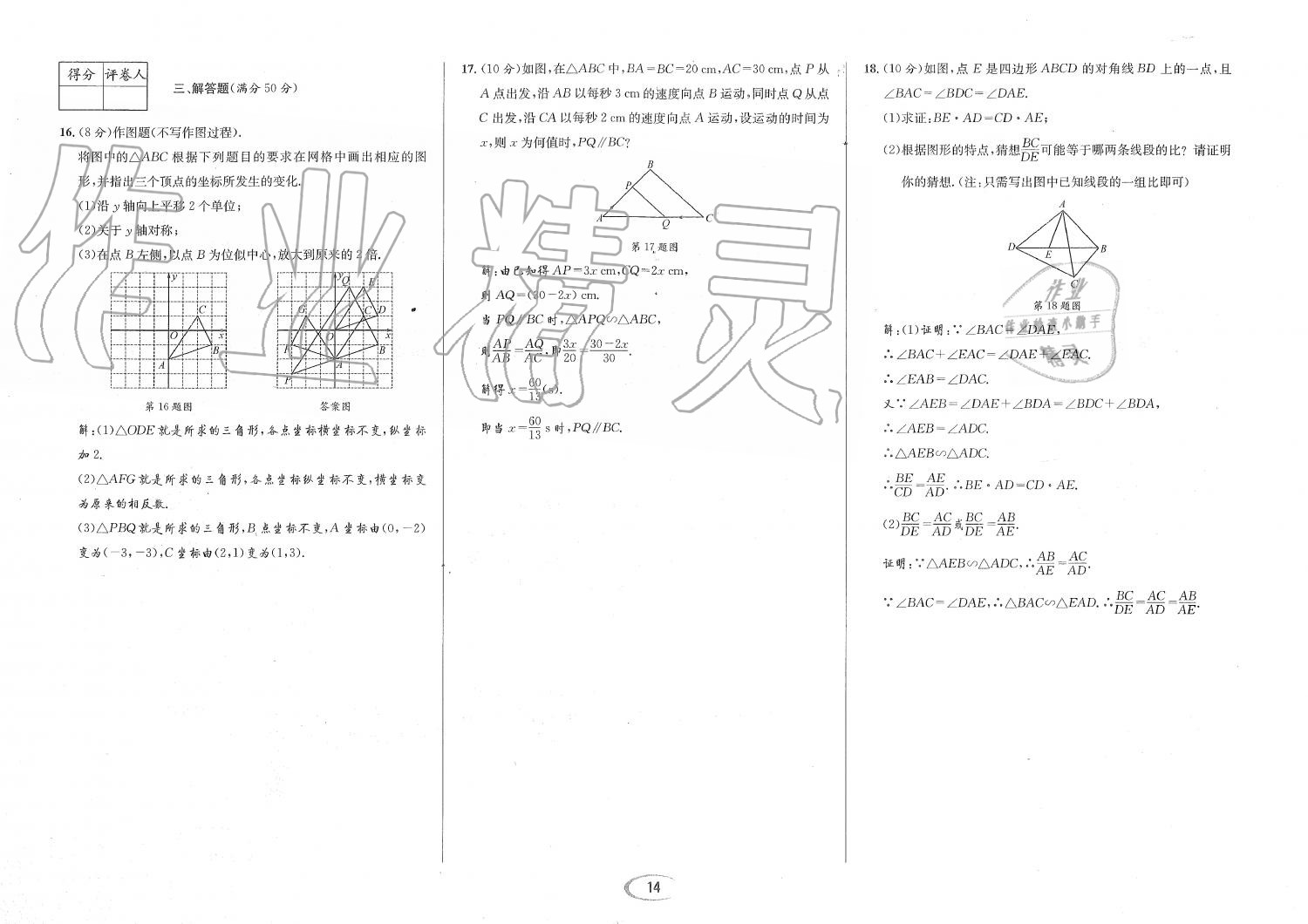 2019年蓉城学霸九年级数学全一册北师大版 第143页