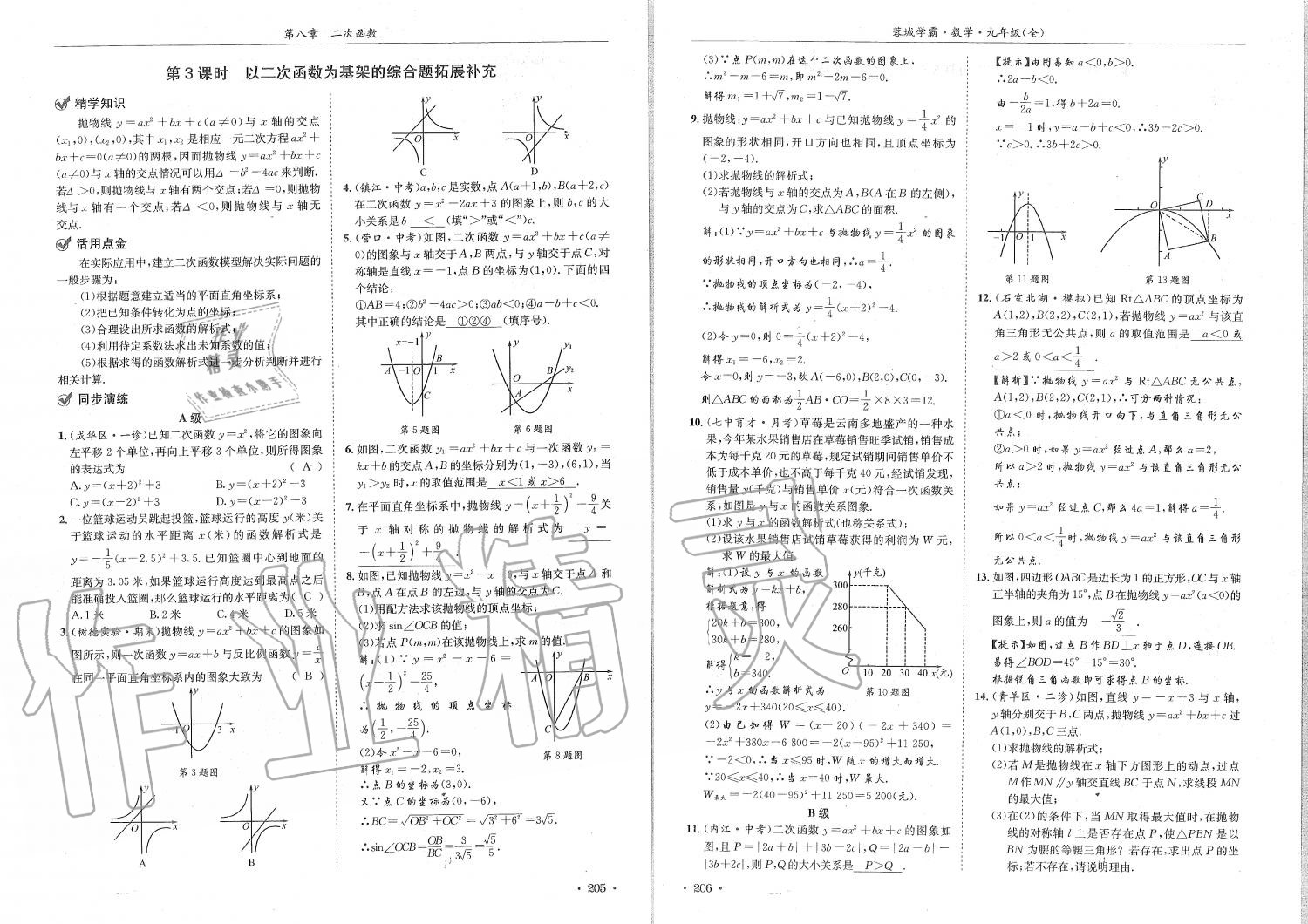 2019年蓉城學霸九年級數(shù)學全一冊北師大版 第103頁