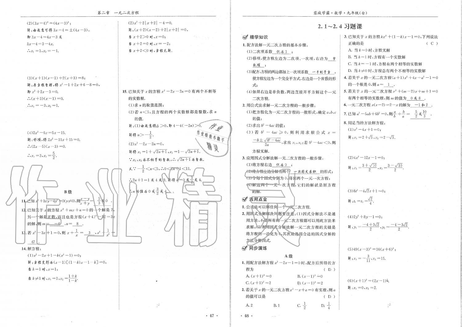 2019年蓉城学霸九年级数学全一册北师大版 第24页