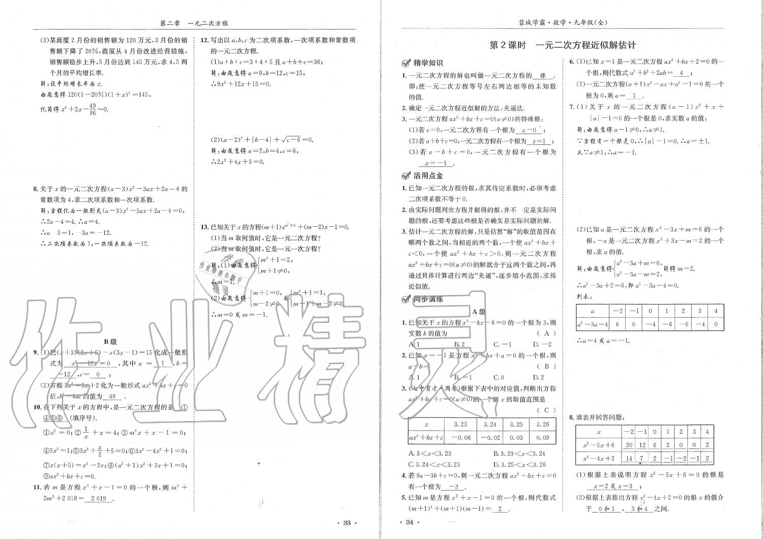 2019年蓉城学霸九年级数学全一册北师大版 第17页