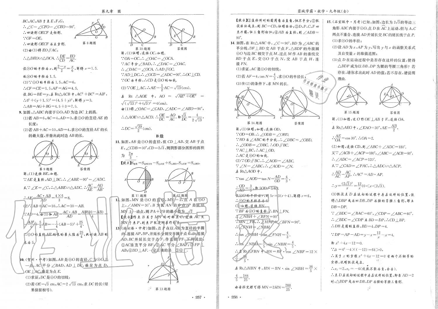 2019年蓉城学霸九年级数学全一册北师大版 第129页