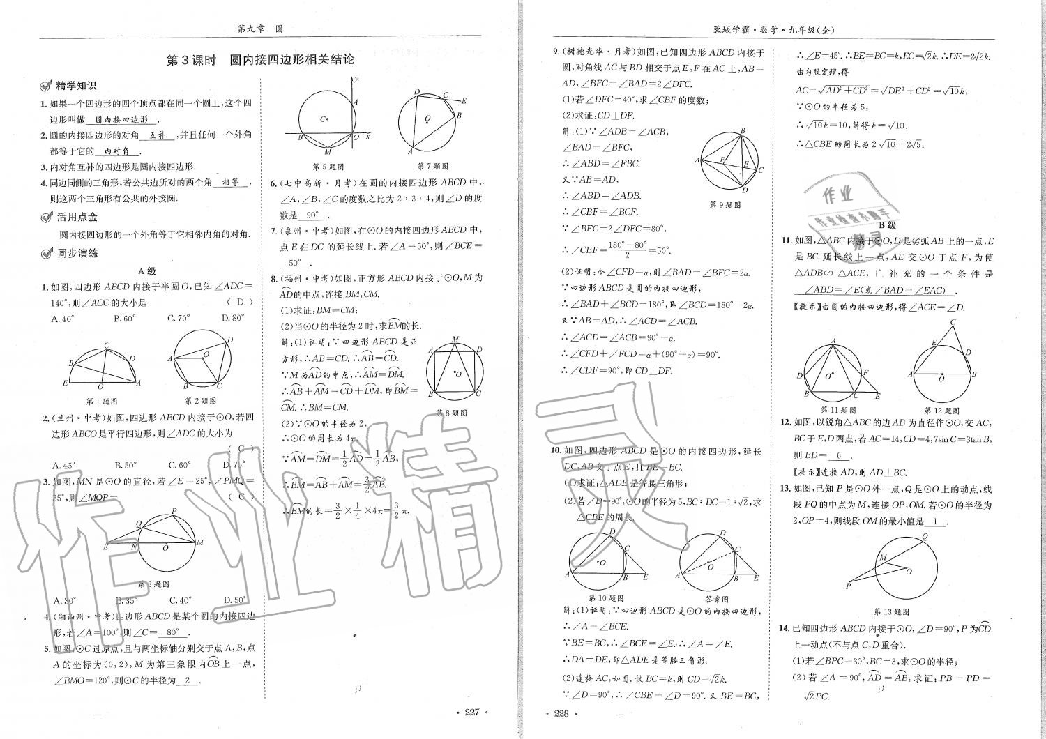 2019年蓉城學霸九年級數(shù)學全一冊北師大版 第114頁